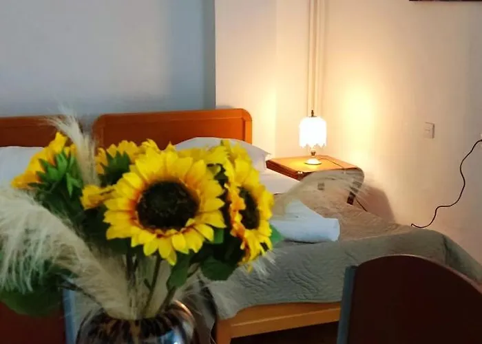 Apartament Stelmar *